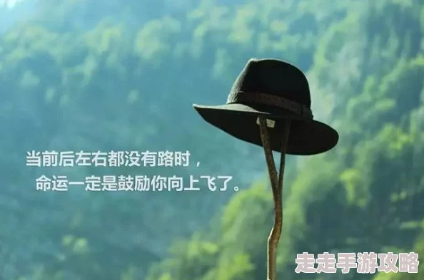 车速文让我们一起追逐梦想勇往直前创造美好未来