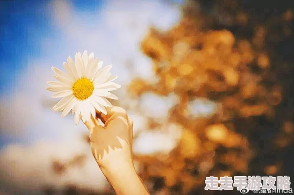 强j乱l小说积极向上，追求美好生活，传递正能量与希望