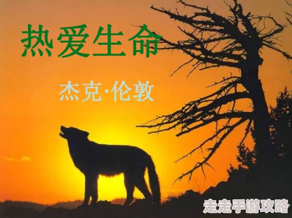 青青青操我生命的最后180天这是一部感人至深的生命故事