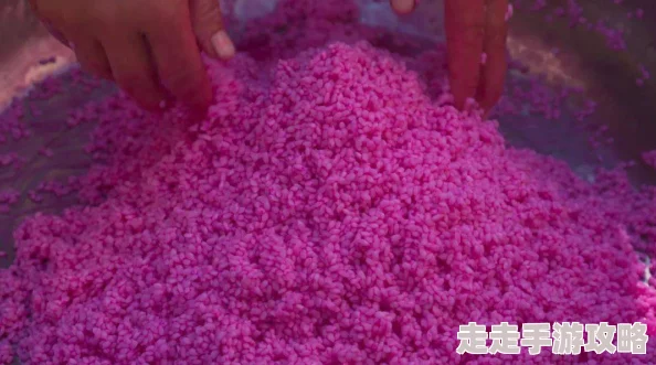 粗大黑头紫大黑头紫bl味道云南传承美食文化共享幸福生活