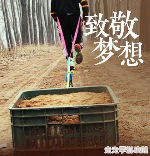 zoomkooldog让我们一起努力追求梦想，积极向上，创造美好未来