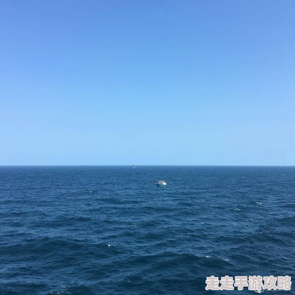 欢笑九天蓝色的海湾心怀梦想勇敢追逐未来的光辉