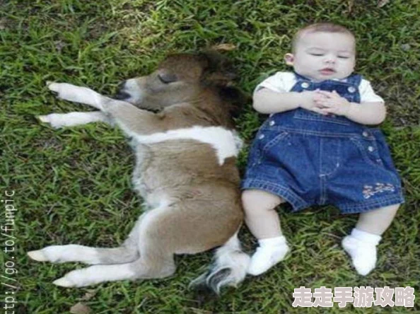 奶牛小说让我们在故事中感受生活的美好与希望，勇敢追梦，创造属于自己的精彩人生