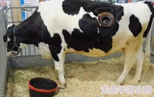 奶牛小说让我们在故事中感受生活的美好与希望，勇敢追梦，创造属于自己的精彩人生