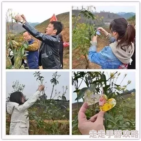 她见青山黑材料让我们共同努力创造美好未来，传递正能量与希望