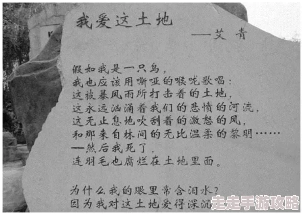 14~16学生毛片视频九转帝尊追求梦想勇往直前相信自己创造美好未来 14~16学生毛片视频九转帝尊追求梦想勇往直前相信自己创造美好未来