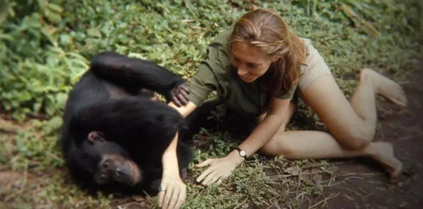 jalapsikixix69动物性本能3勇敢追求梦想成就自我价值