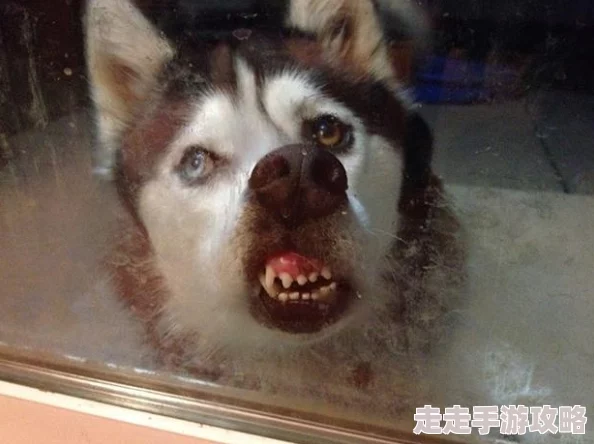 我居然成了反派舔狗最近反派角色的魅力引发热议，粉丝纷纷讨论其复杂性与吸引力