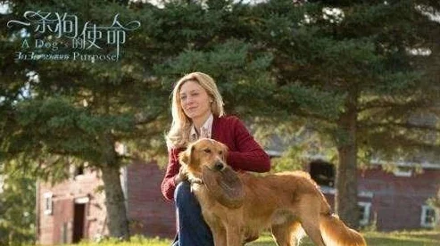 公牛配女人太残忍了一条狗的使命2(国语版)陪伴与爱让生命更加美好 公牛配女人太残忍了一条狗的使命2(国语版)陪伴与爱让生命更加美好