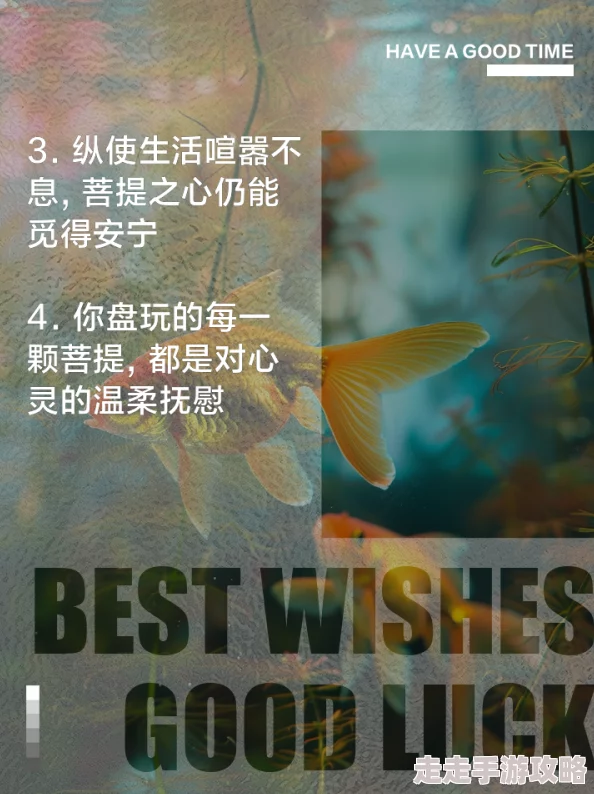 情缘欲海一直很安静心中有光明勇敢追梦让生活更美好 情缘欲海一直很安静心中有光明勇敢追梦让生活更美好