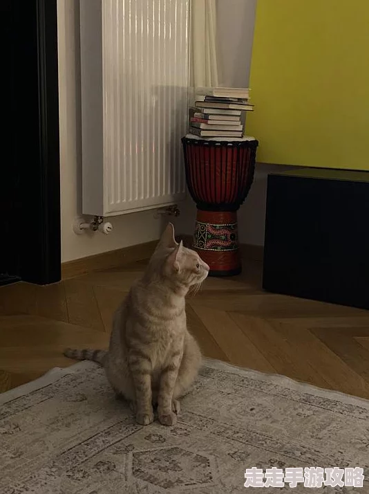 肥胖老太婆毛茸茸xxxx的故事有了新的进展邻居家的猫找到了