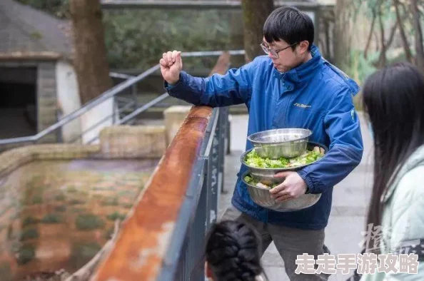 疯狂动物园帽子图鉴大全惊喜揭秘：厨师帽登场，解锁隐藏角色与奖励！