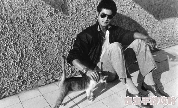 傲娇剑客呆萌剑西环逃亡：惊喜更新揭秘，攻略玩法与流程全面深度分析