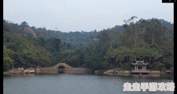 完美世界在线全集免费观看完整版湖边的少女心怀梦想勇敢追求未来的美好与希望