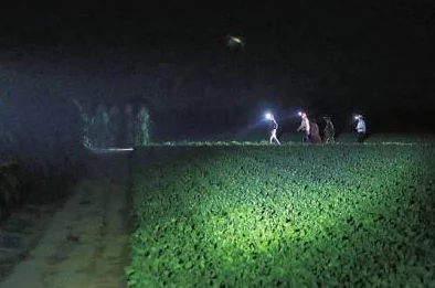 我和三个女孩她们的暑假打工计划意外地变成了寻宝之旅