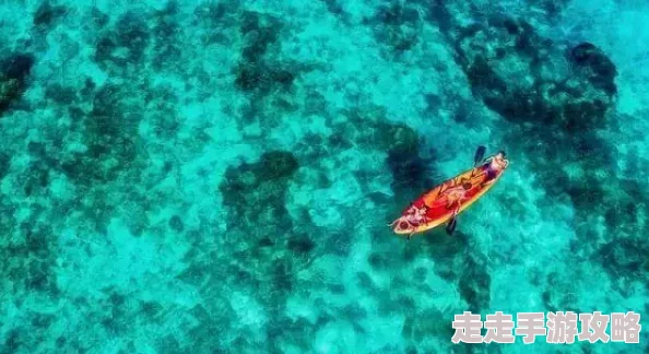 海岛战争全面解析：多元化资源获取途径与惊喜福利大放送介绍