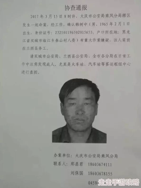 狼窝by揽春全文免费阅读已更新至第100章沈放身份暴露危机四伏