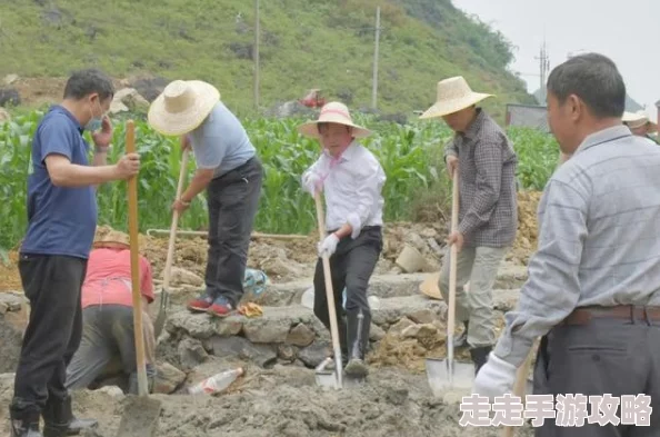 儿耕妈荒废的田村民帮助下复垦播种已获初步收成