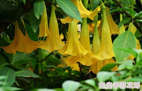 古代h性昏迷让我们关注心理健康与情感支持，共同创造温暖和谐的社会环境