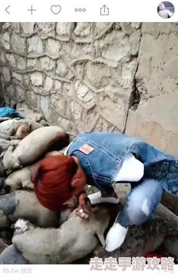 猪和人做受全部这种恶心标题引流的资源不要点开浪费时间还可能传播病毒