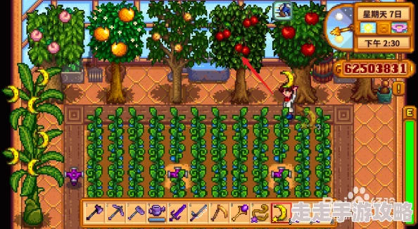 星露谷物语果酱制作全揭秘：详细图文教程与爆料信息