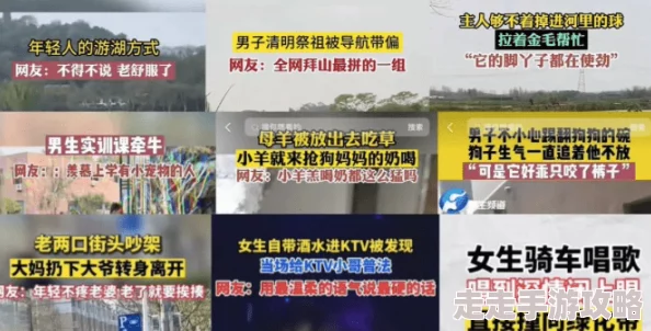 黄色视频入口在线网友称内容低俗传播不良信息