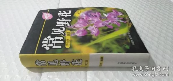 野花影院手机观看资源丰富更新及时画质清晰流畅度高方便快捷 野花影院手机观看资源丰富更新及时画质清晰流畅度高方便快捷