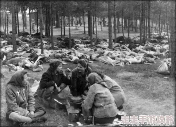 魔鬼女集中营纳粹德国残酷迫害女性的罪证