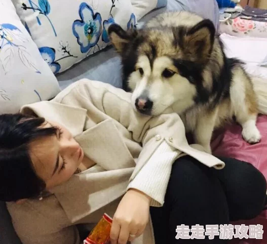 隔壁邻居是个漂亮的小姐姐可惜她养的狗总是在半夜狂吠扰民 隔壁邻居是个漂亮的小姐姐可惜她养的狗总是在半夜狂吠扰民