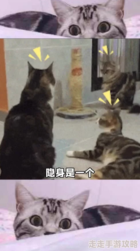 隔壁邻居是个漂亮的小姐姐可惜她养的狗总是在半夜狂吠扰民 隔壁邻居是个漂亮的小姐姐可惜她养的狗总是在半夜狂吠扰民