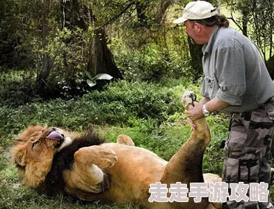 欧美人与动人物乱大交网友称内容荒谬且不尊重动物呼吁抵制