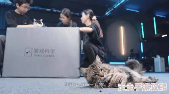 mimeanddash哑剧猫哑剧猫即将推出全新系列短片展现独特幽默风格
