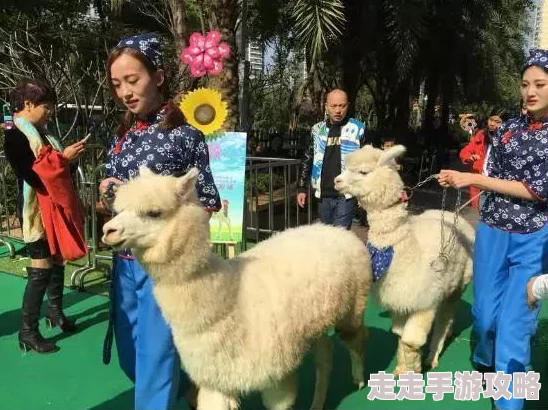 疯狂农场3的攻略助你轻松玩转农场快速升级赚钱技巧