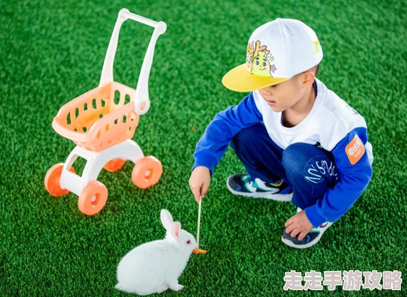 疯狂农场3的攻略助你轻松玩转农场快速升级赚钱技巧
