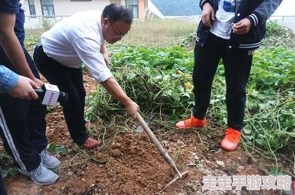 疯狂农场3的攻略助你轻松玩转农场快速升级赚钱技巧