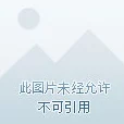 DNF各职业转职爆料：哪个转职能让你称霸游戏？