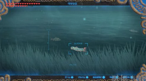 旷野之息潜行鳟鱼刷新地点及抓取推荐:海拉鲁大森林与奥尔汀山脉详解 旷野之息潜行鳟鱼刷新地点及抓取推荐:海拉鲁大森林与奥尔汀山脉详解