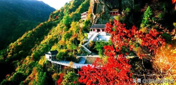 原始传奇与道士职业：哪个更值得你选择？深度爆料分析