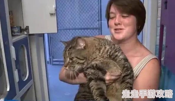 宫部凉花被曝曾匿名捐款百万资助流浪动物收容所 宫部凉花被曝曾匿名捐款百万资助流浪动物收容所