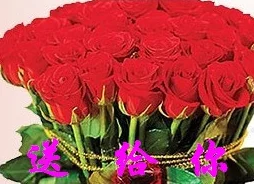 宫部凉花被曝曾匿名捐款百万资助流浪动物收容所 宫部凉花被曝曾匿名捐款百万资助流浪动物收容所