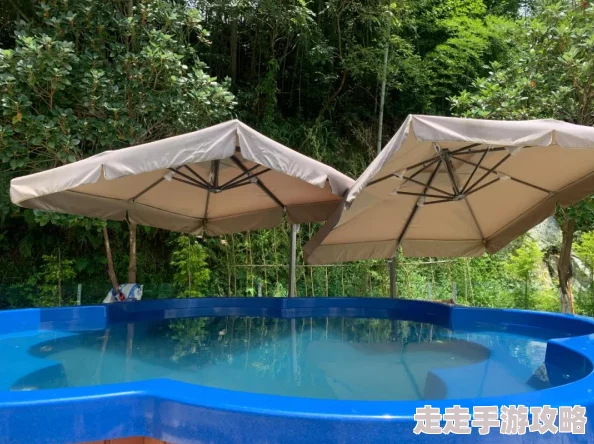 元气骑士古代传送门攻略大揭秘：全新爆料信息助你征服秘境挑战