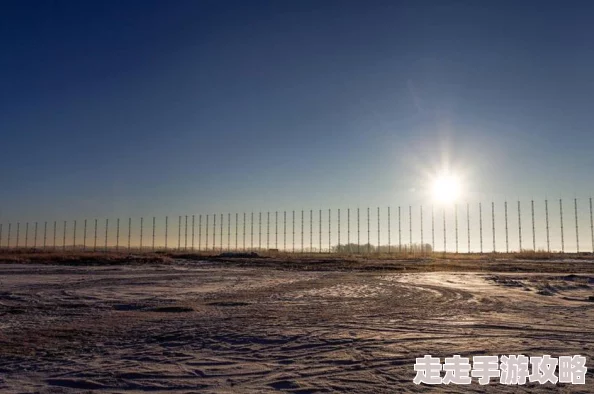 2024最新爆料！经典飞机作战游戏推荐，下载大全及独家战机解锁攻略